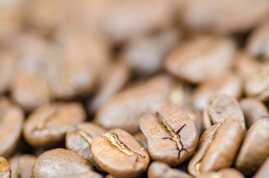 The Best Places To Buy Green Coffee Beans in 2023 - Final Grind Coffee Co.