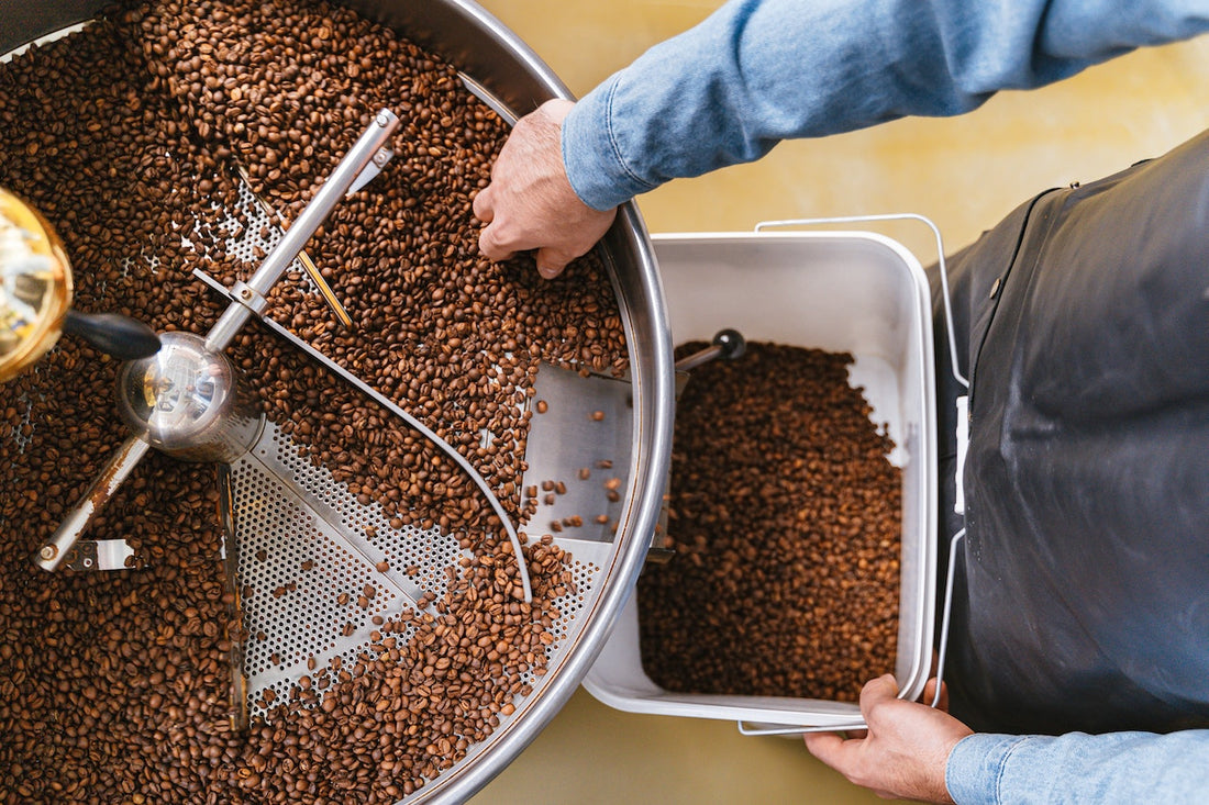 Coffee beans being transferred from coffee roaster drum to a bucket