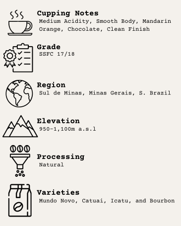 Brazil Santos - Final Grind Coffee Co.